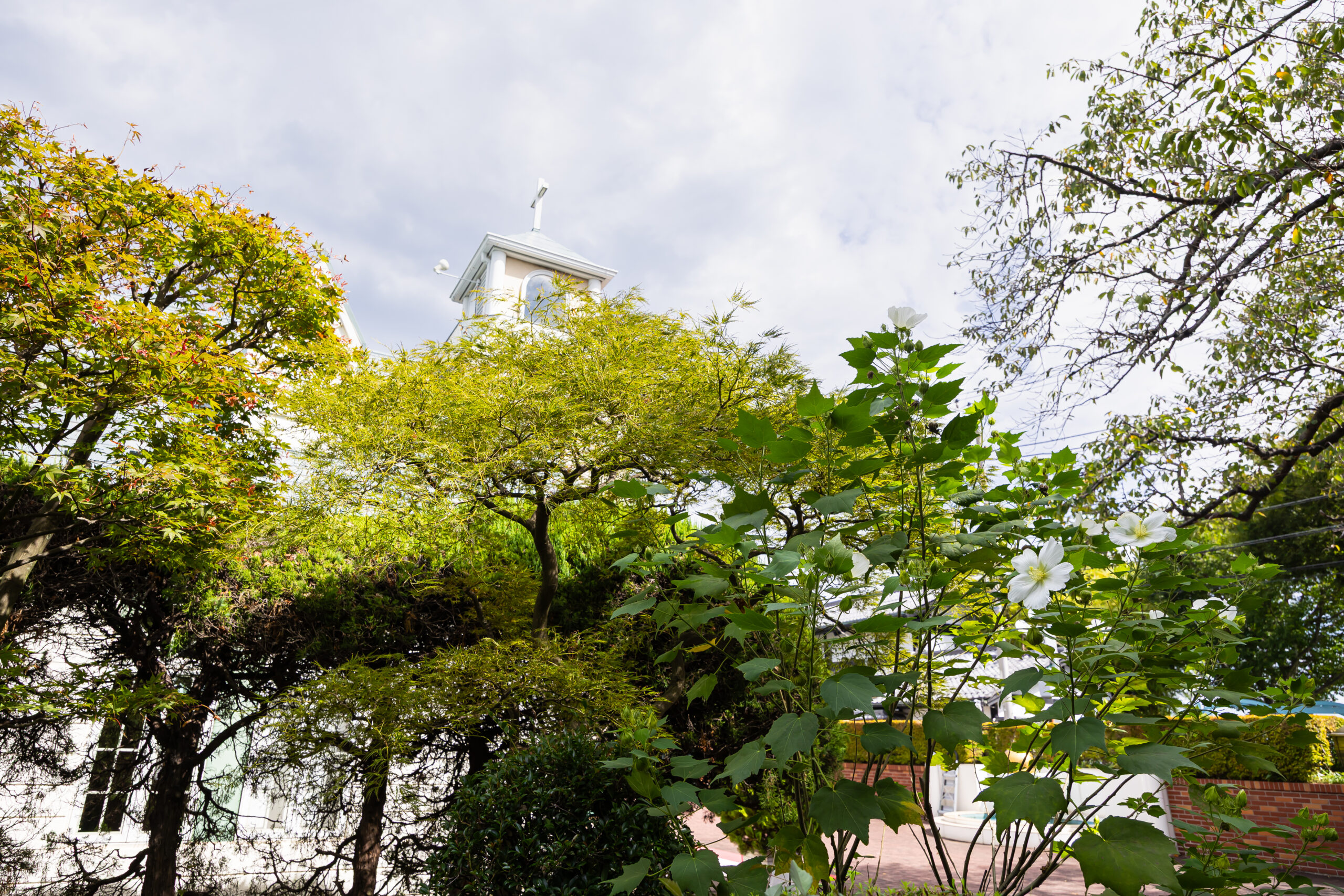 カップルレポート