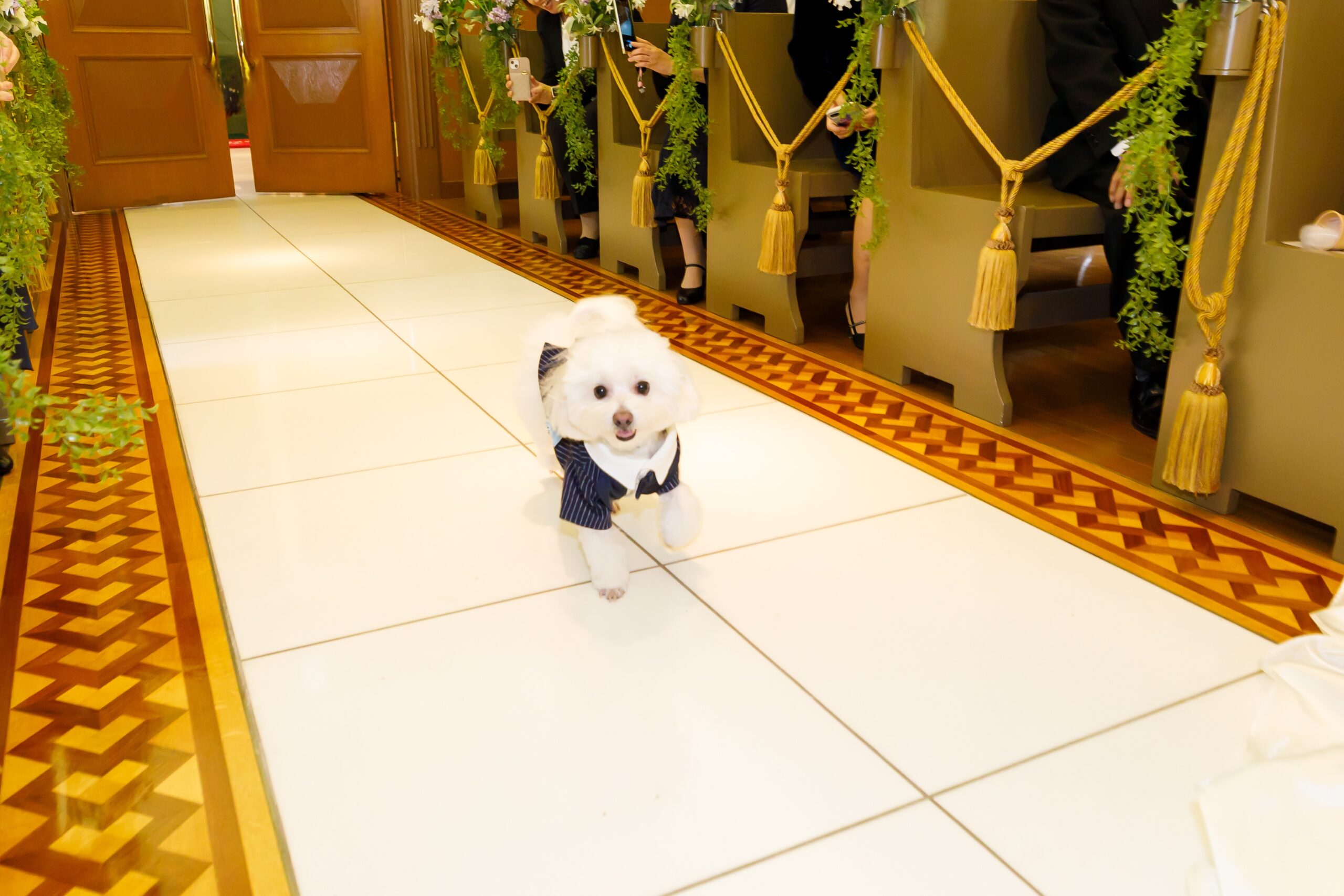 カップルレポート